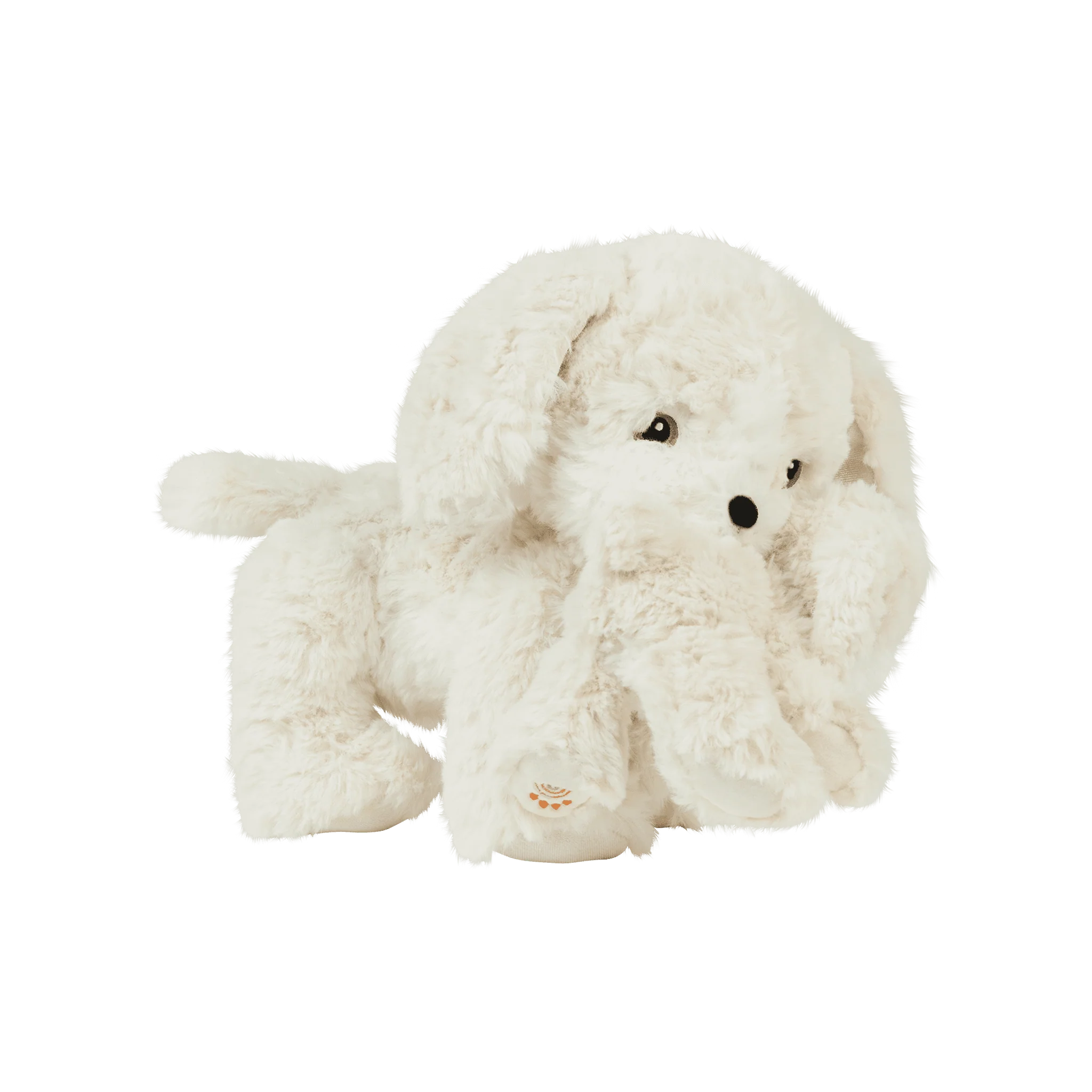 Binky Puppy - Belle - Image 7