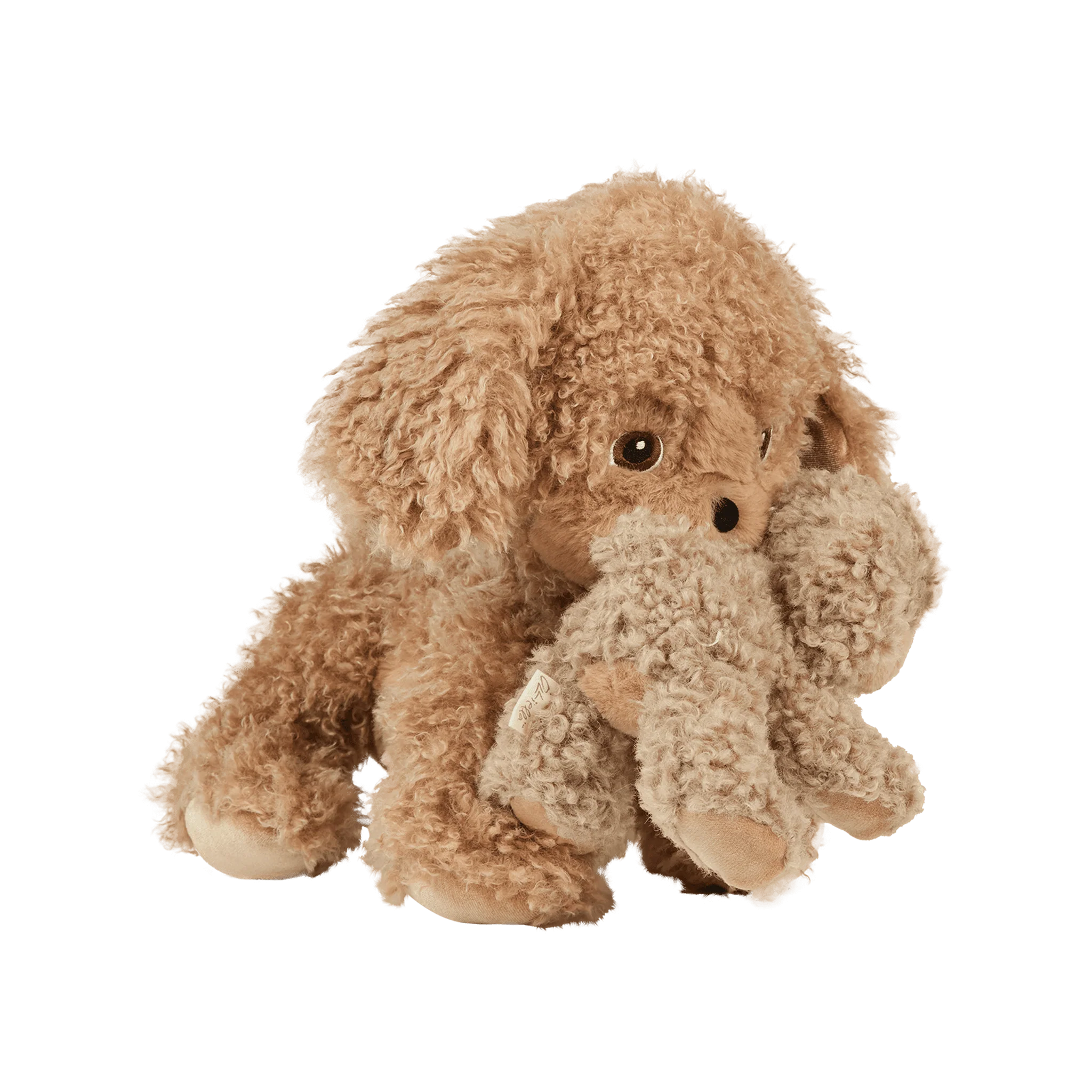 Binky Puppy - Benny - Image 10