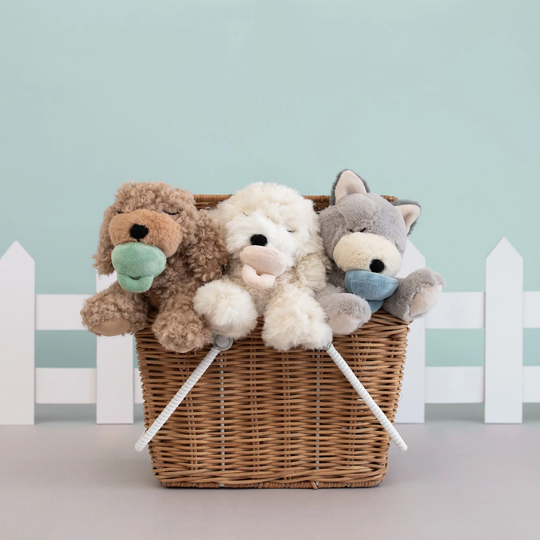 Binky Puppy - Benny - Image 3