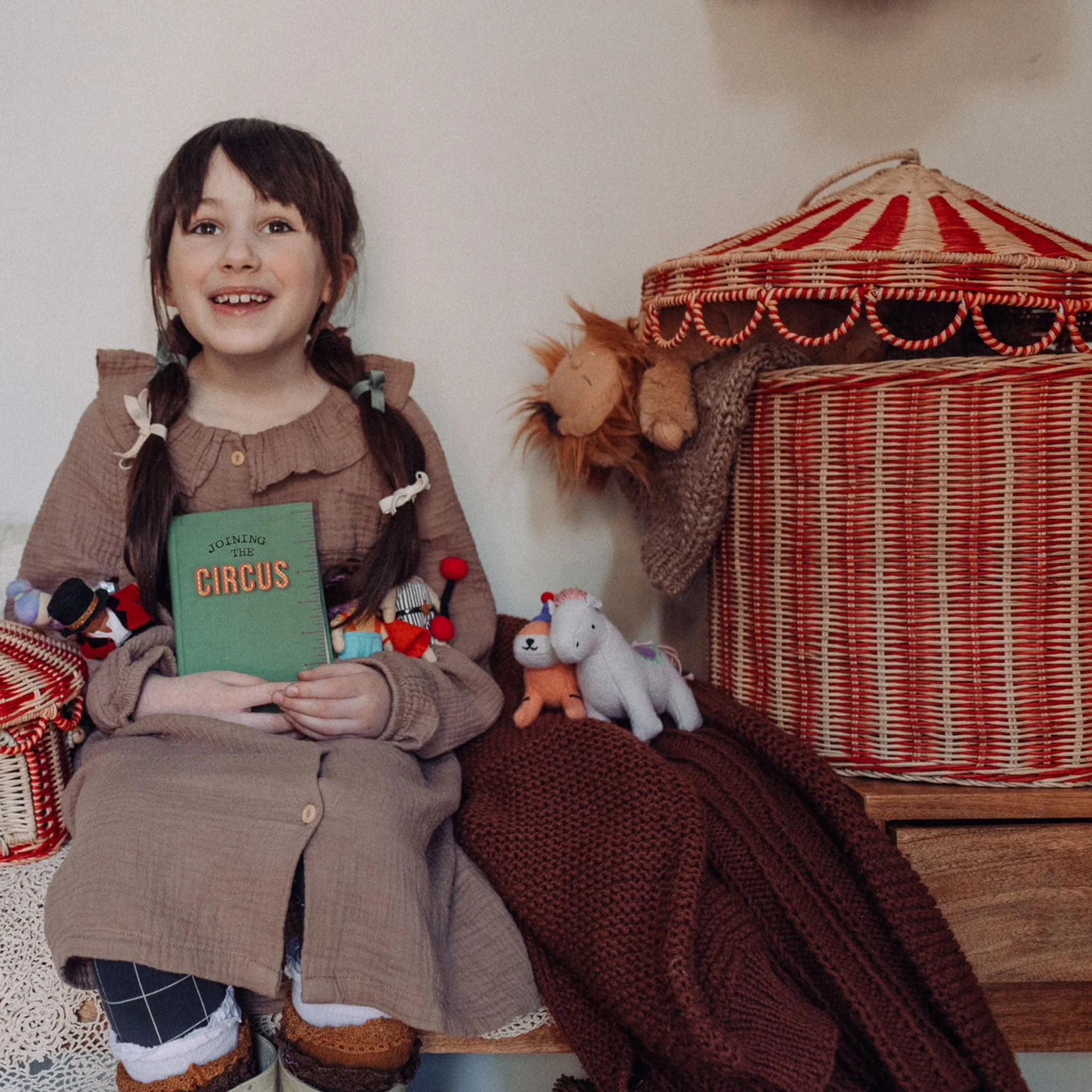 Circus Tent - Toy Basket - Image 5