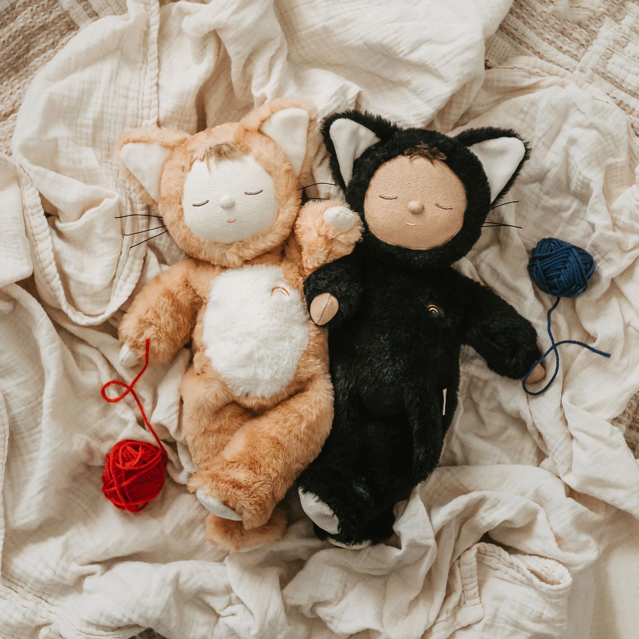 Cozy Cats - Nox - Image 10