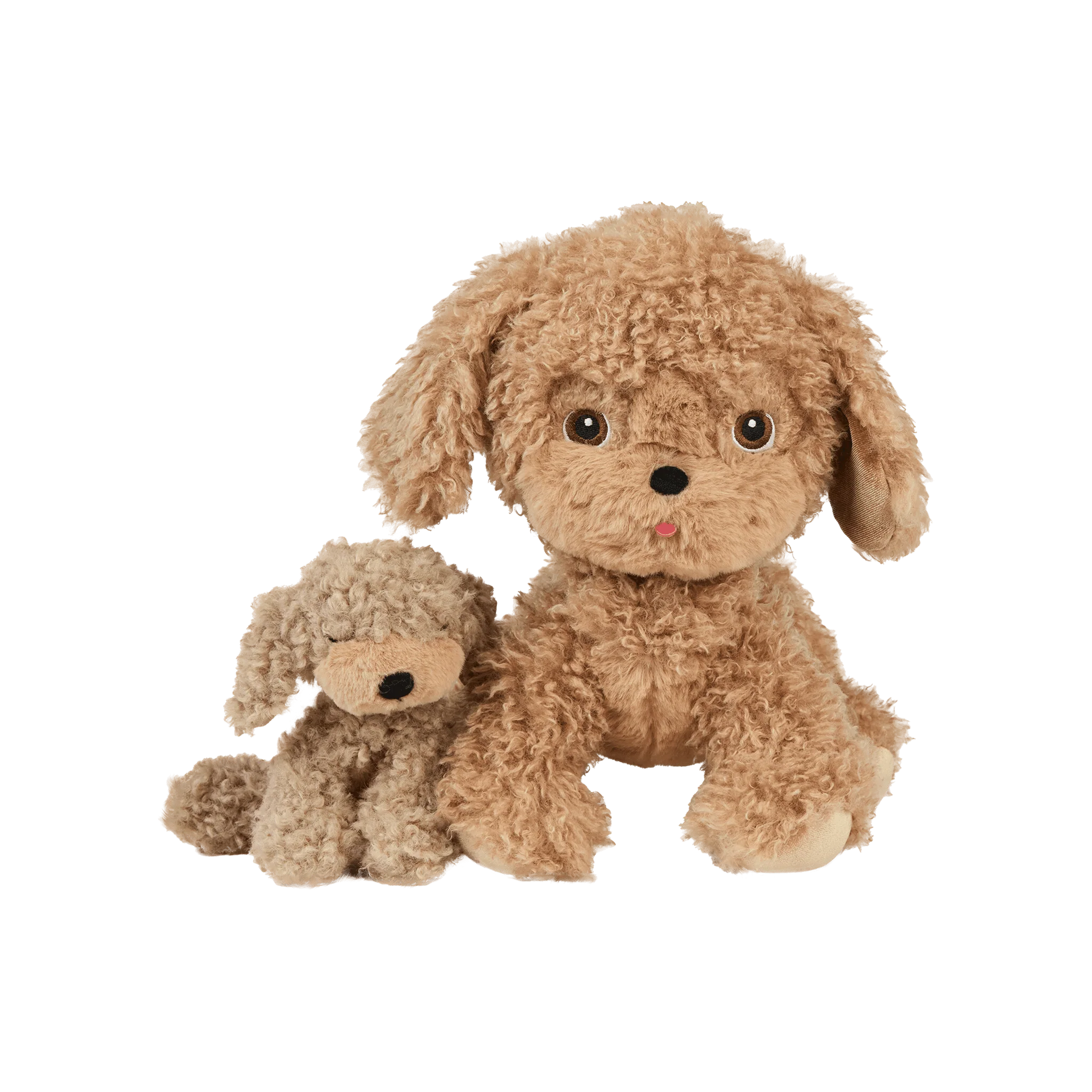 Dinkum Dogs - Goldie - Image 12