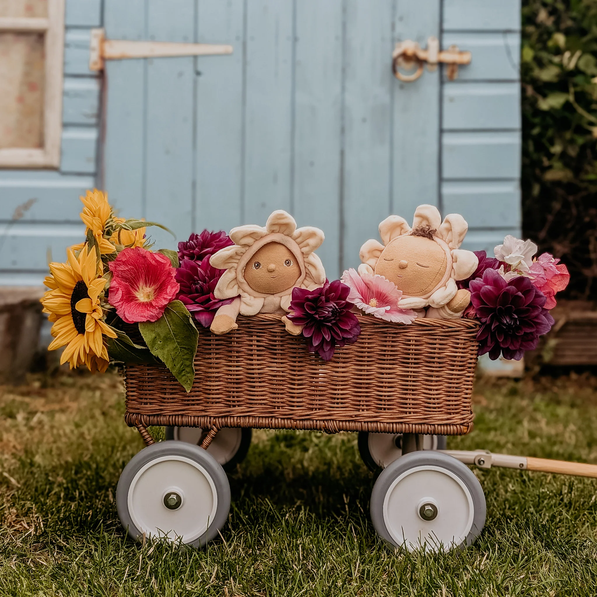 Dinky Dinkums Limited-Edition - Gracie Gardenia - Image 4